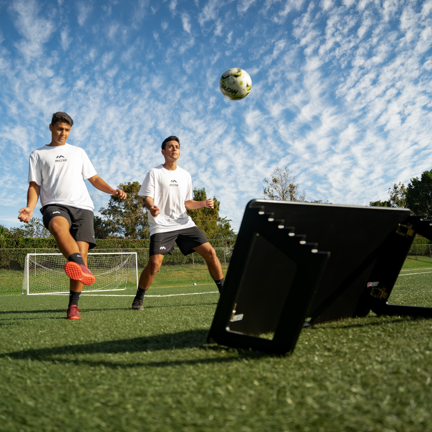 Rebounder M